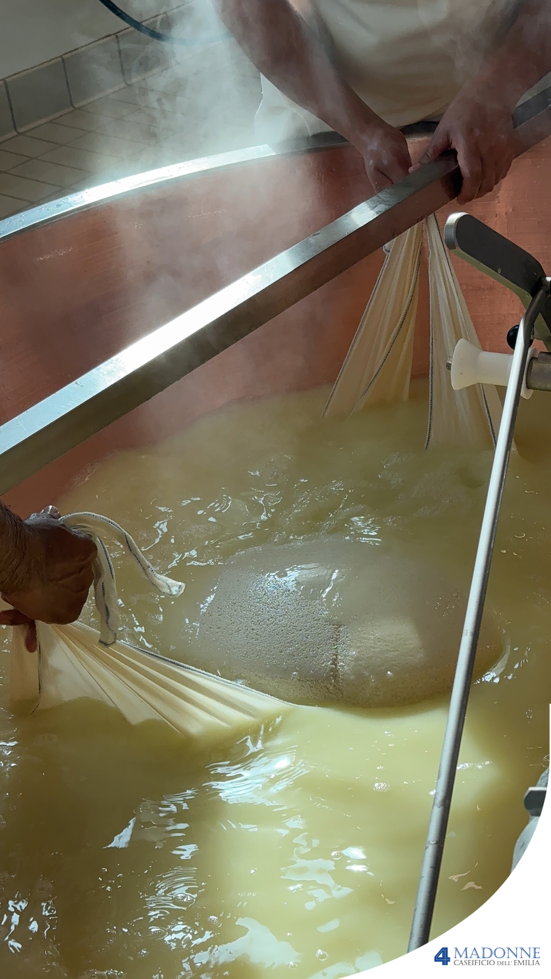 Forme di parmigiano reggiano in conservazione