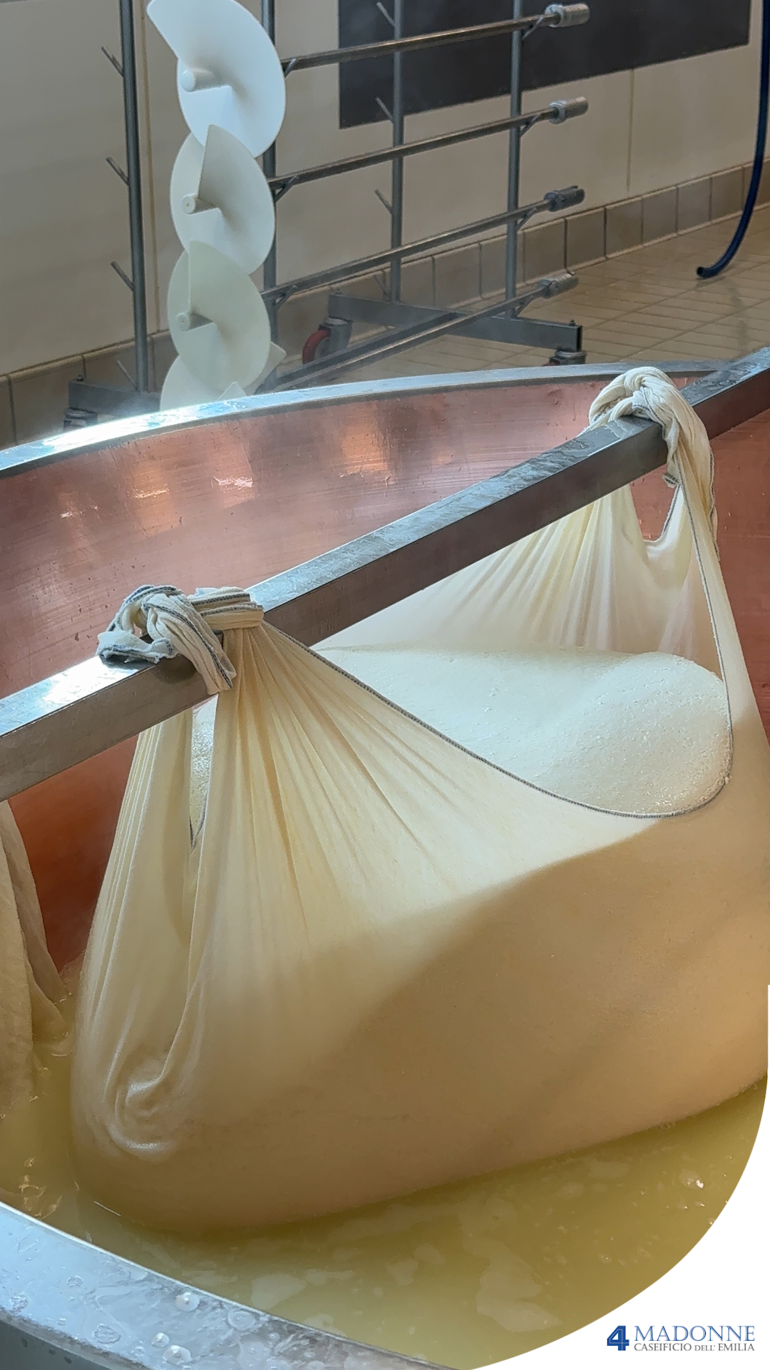 Forme di parmigiano reggiano in conservazione