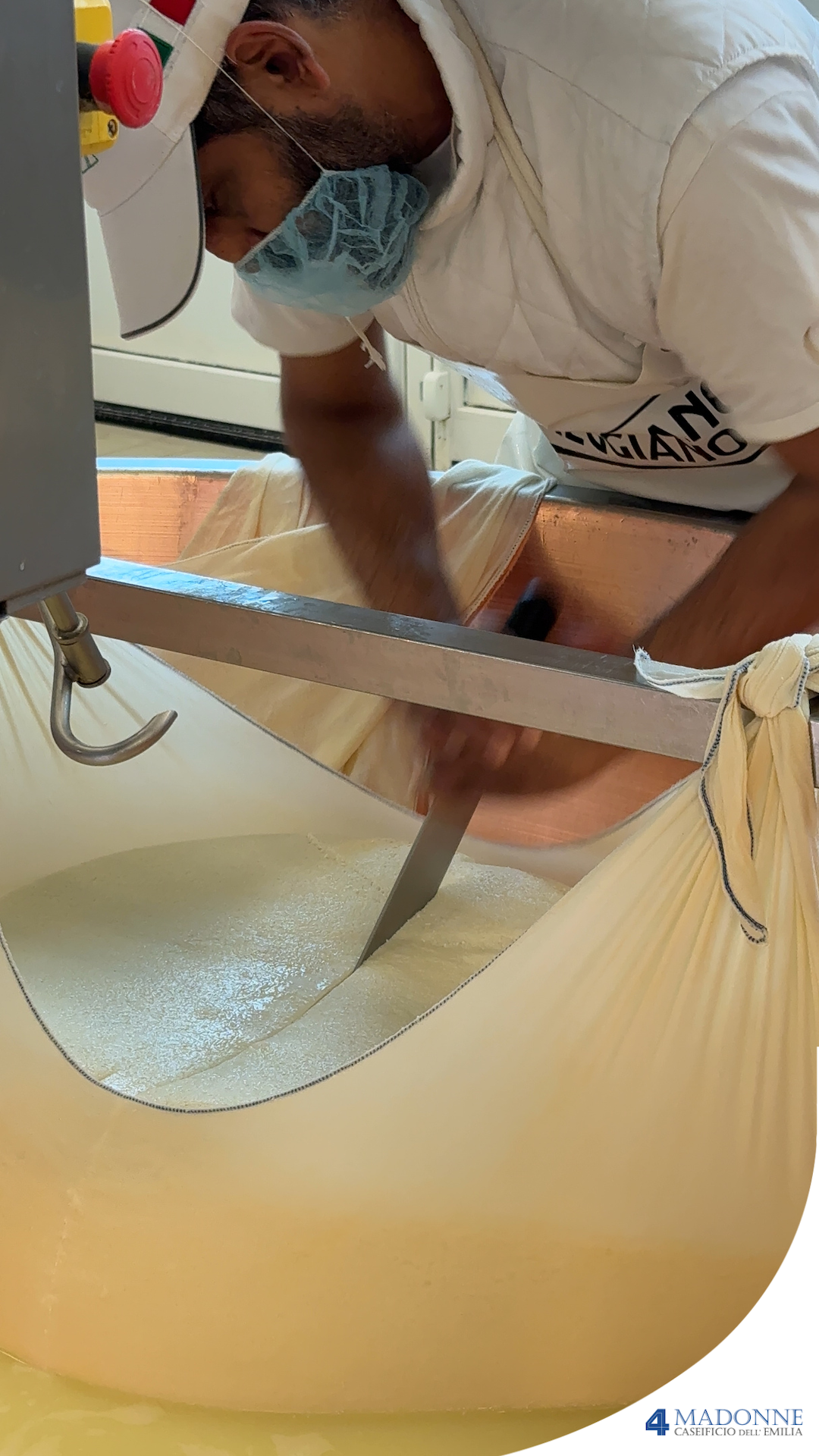 Forme di parmigiano reggiano in conservazione