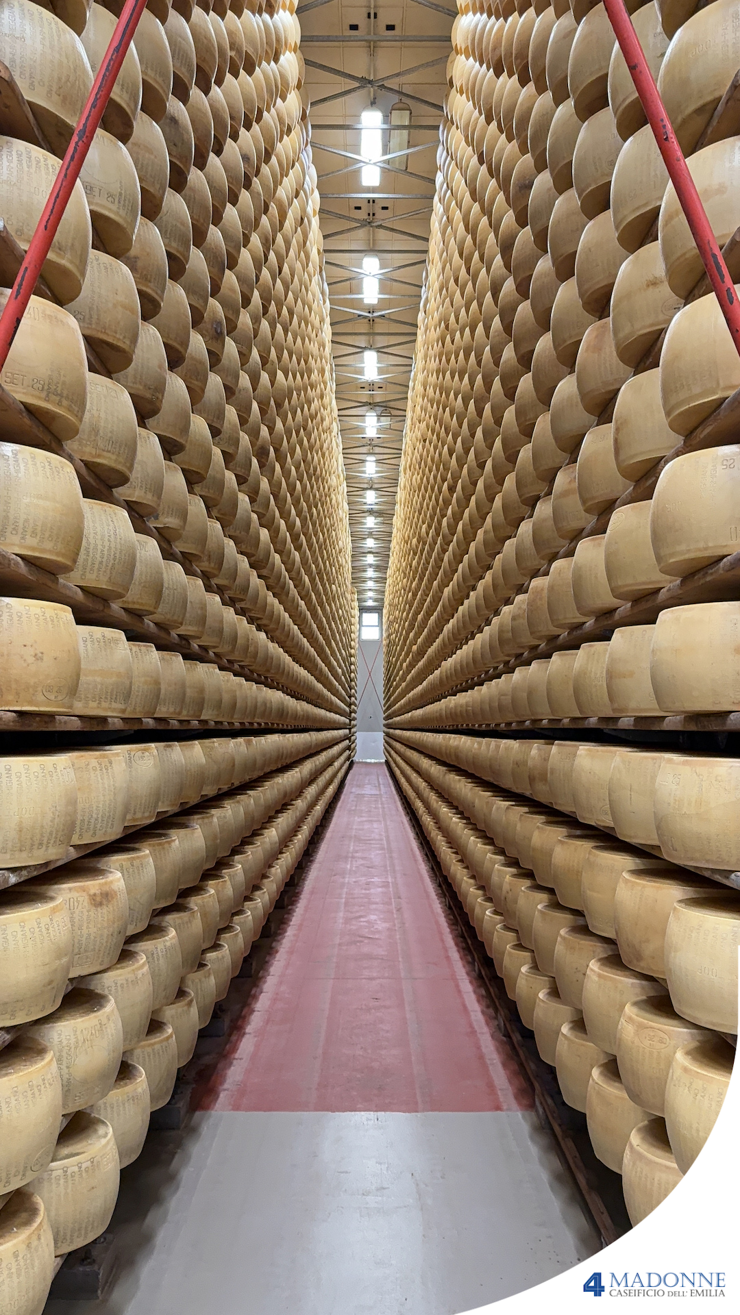 Forme di parmigiano reggiano in conservazione