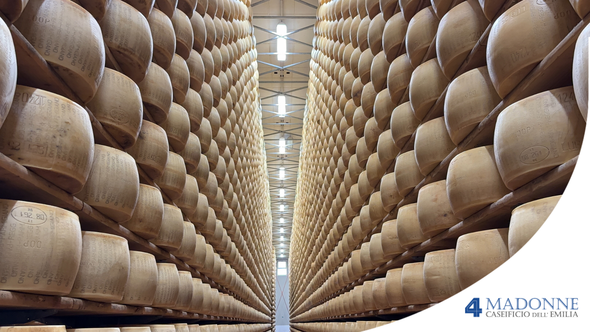 Forme di parmigiano reggiano in conservazione