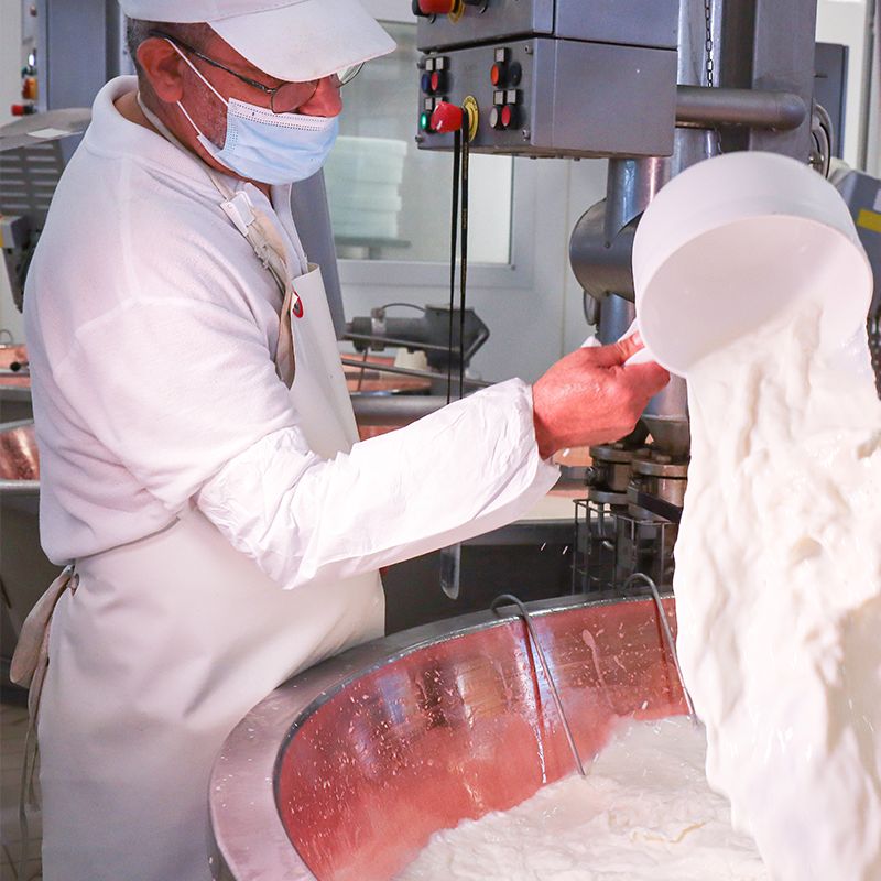 Lavorazione del latte per ottenere il Parmigiano Reggiano