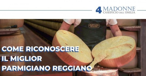 Parmigiano Reggiano di alta qualità: come riconoscere il migliore?