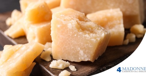 Vacche Brune o Parmigiano Classico? Tutte le Differenze