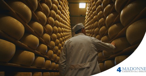 Parmigiano Reggiano a km zero: perché scegliere la filiera corta