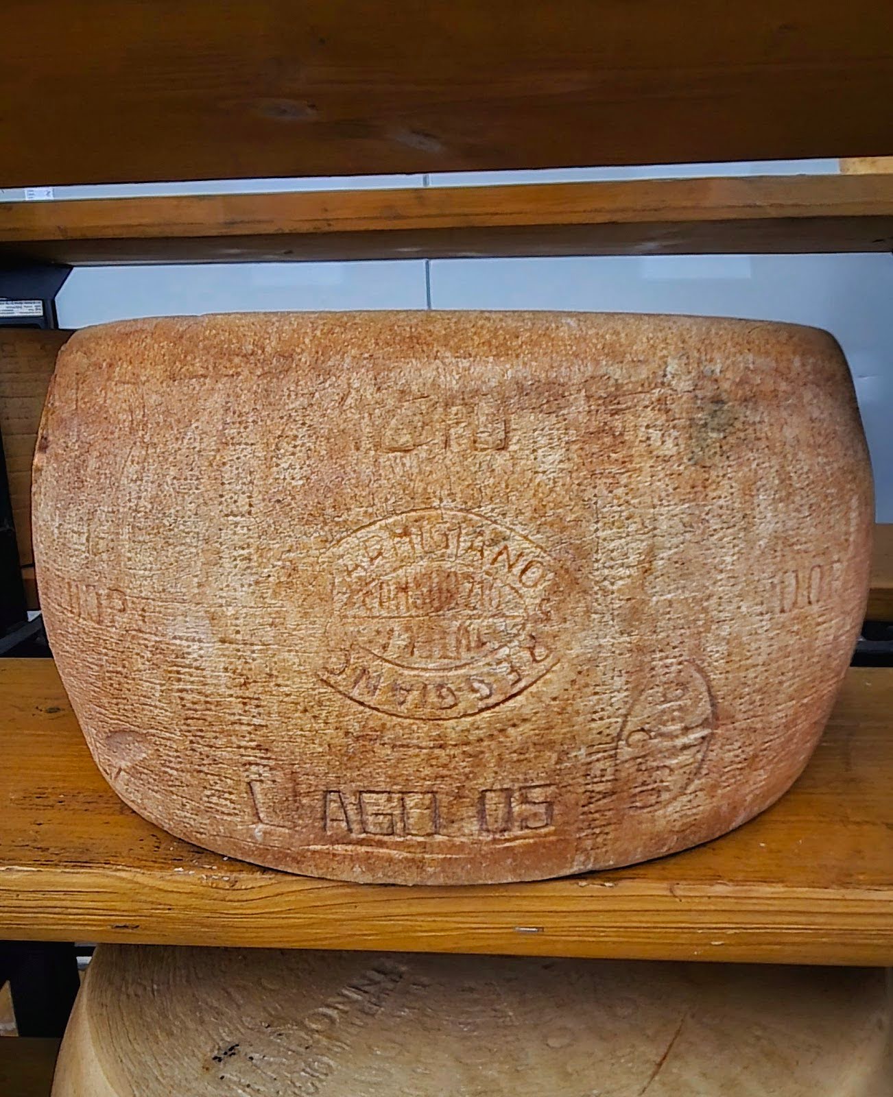 Forma di Parmigiano Reggiano (agosto 2005)