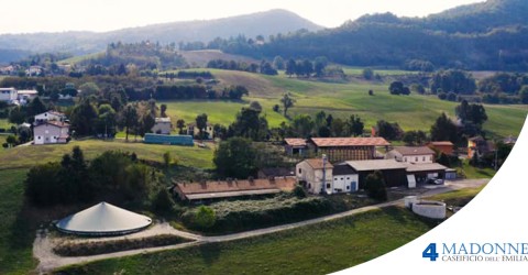 Caseificio 4 Madonne: scopri chi produce il tuo Parmigiano