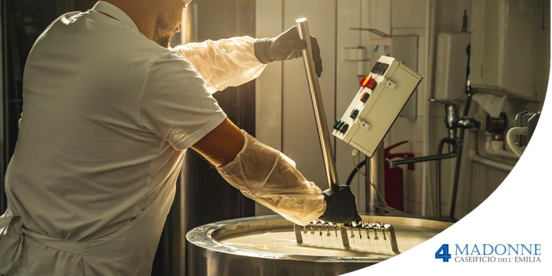 Parmigiano Reggiano: eccellenza tra i formaggi a latte crudo