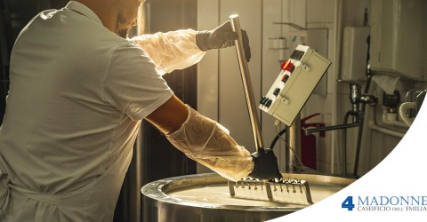 Parmigiano Reggiano: eccellenza tra i formaggi a latte crudo