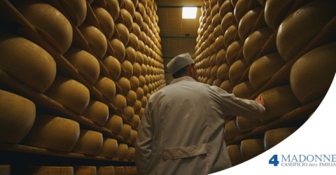 Qual è il miglior caseificio del Parmigiano Reggiano? I criteri per scegliere l'eccellenza