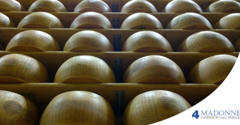 Qual è il premio per il miglior Parmigiano Reggiano? Guida ai concorsi di eccellenza
