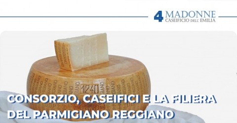 Consorzio, Caseifici e la Filiera del Parmigiano Reggiano